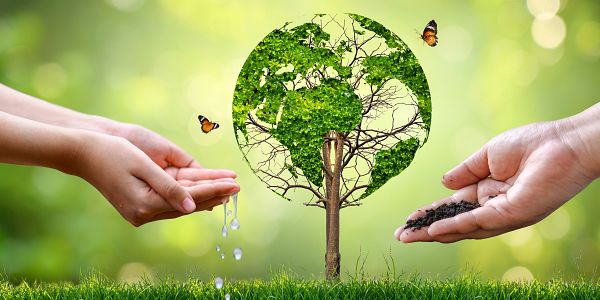 Zelena tranzicija: novo rješenje ili nova ovisnost?